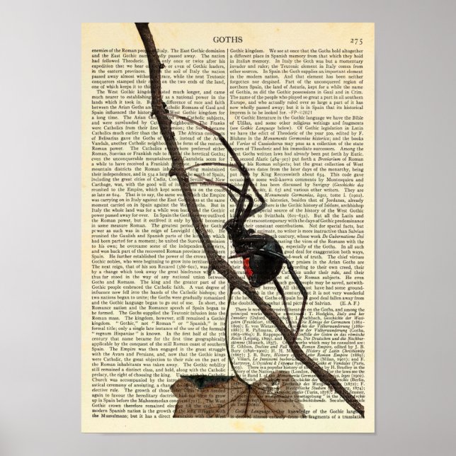 Black Widow Spider, Gothic, Nature, Arachnophobia Poster (Front)