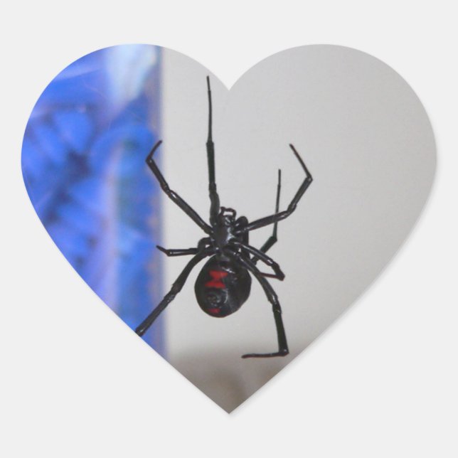 Black Widow Spider Heart Sticker (Front)