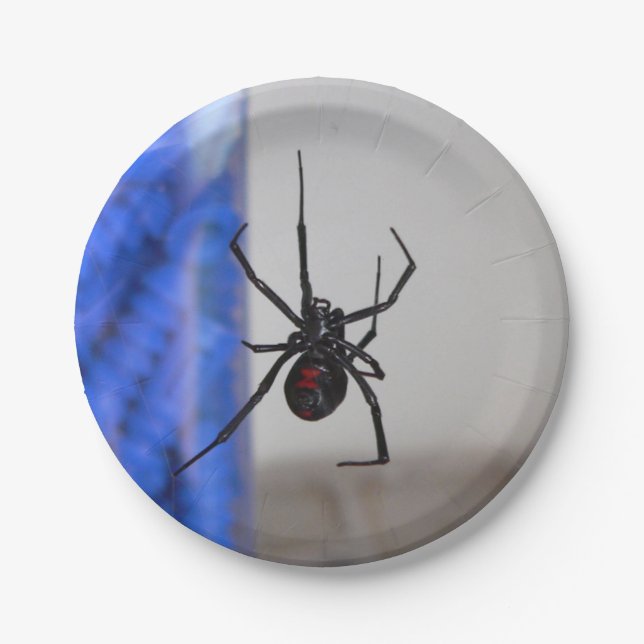 Black Widow Spider Paper Plate (Front)