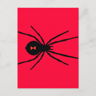Black Widow Spider Postcard