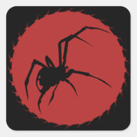 Black Widow Spider