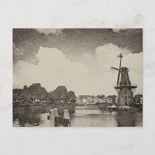 Black Windmill , Haarlem, Netherlands Postcard (Front)