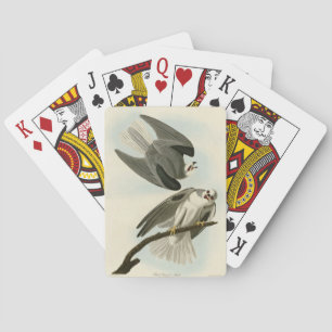 Black-Winged Hawk - Audubon's Birds of America  Playing Cards