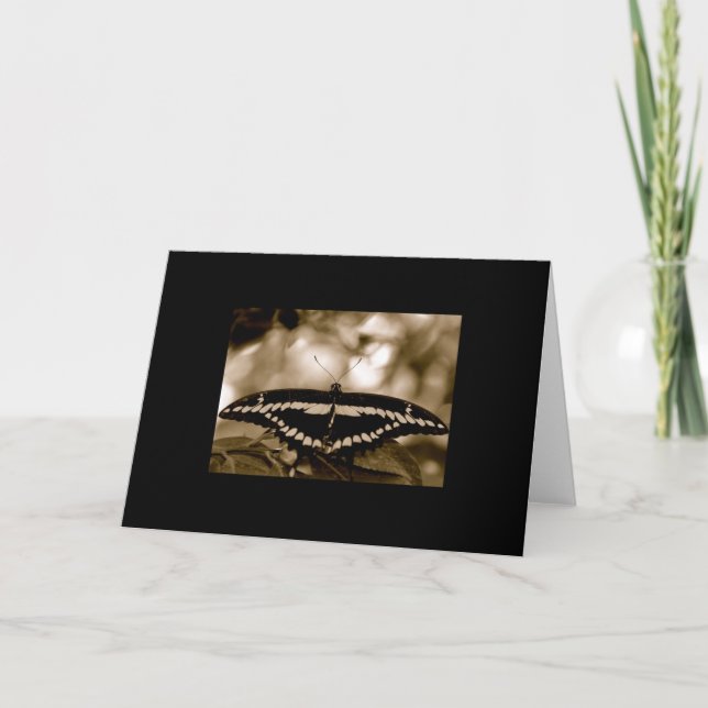 Black Wings Blank Card (Front)