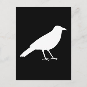 Black with a White Crow. Postcard