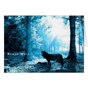Black Wolf Alone in the Forest