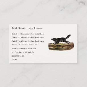Black Wolf, or Black American Wolf (Canis Lupus) Business Card