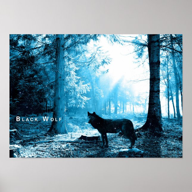 Black Wolf Woods Forest Night Fantasy Poster (Front)