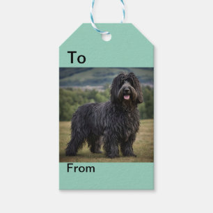 Black Woolly Bergamasco Sheepdog, Gift Tags