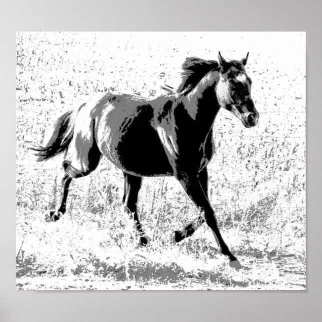 Black Yearling Horse Poster (Front)