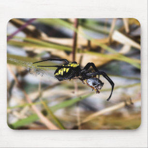 Black & Yellow Argiope Garden Spider Mousepad