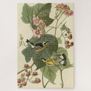 Black & Yellow Warblers Audubon's Birds of America Jigsaw Puzzle