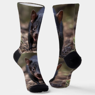 Black Young Australian Tasmanian Devil, Socks