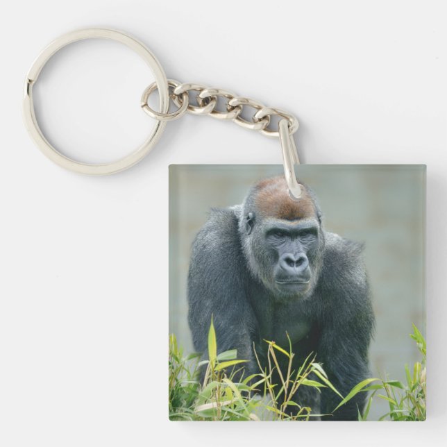 Blackback Gorilla Lope Key Ring (Front)