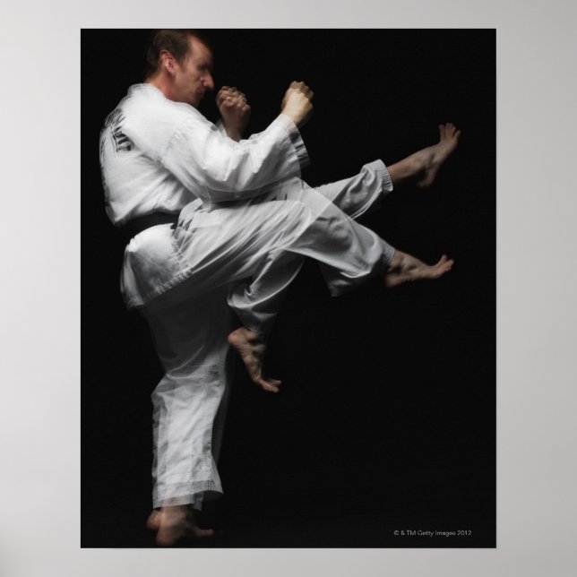 Blackbelt Doing a Front Kick Poster (Front)