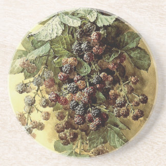 ‘Blackberries’ by Paul de Longpré Coaster