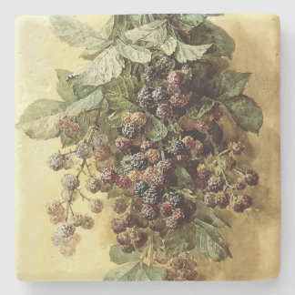 ‘Blackberries’ by Paul de Longpré Square Stone Coaster
