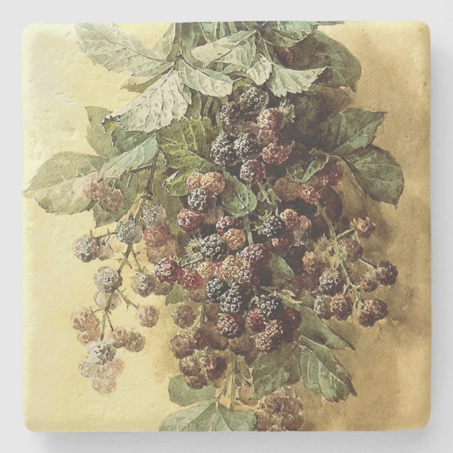‘Blackberries’ by Paul de Longpré Square Stone Coaster (Front)