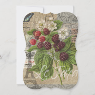 Blackberries Floral Garden Flower Butterfly Art