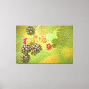 "Blackberries Fruit Plant" Cute Photo. Buy Now Canvas Print