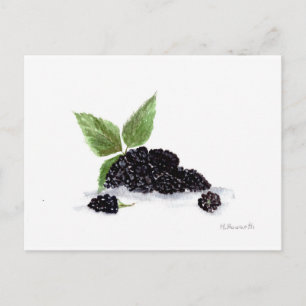 Blackberries fruits watercolour painting postcard