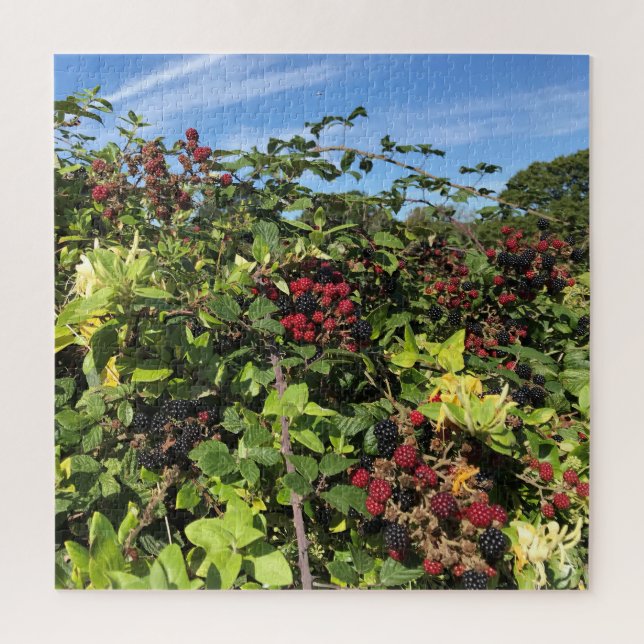 Blackberries & Honeysuckle in English Countryside Jigsaw Puzzle (Vertical)