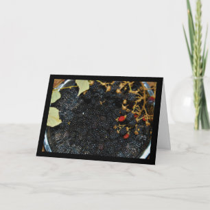 Blackberries in Colander Card