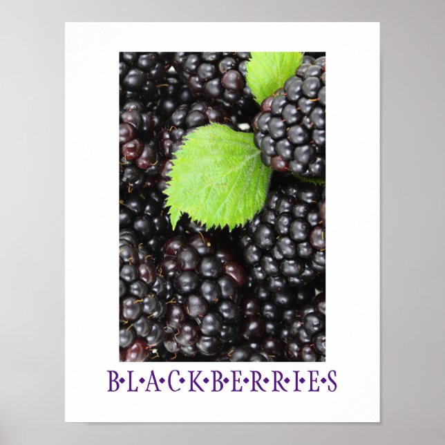 Blackberries Kitchen Art Poster (Front)