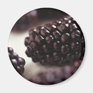 Blackberries Magnet