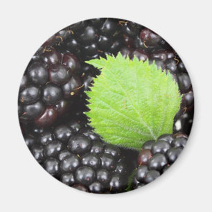 Blackberries Magnet