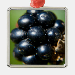 Blackberries Metal Tree Decoration