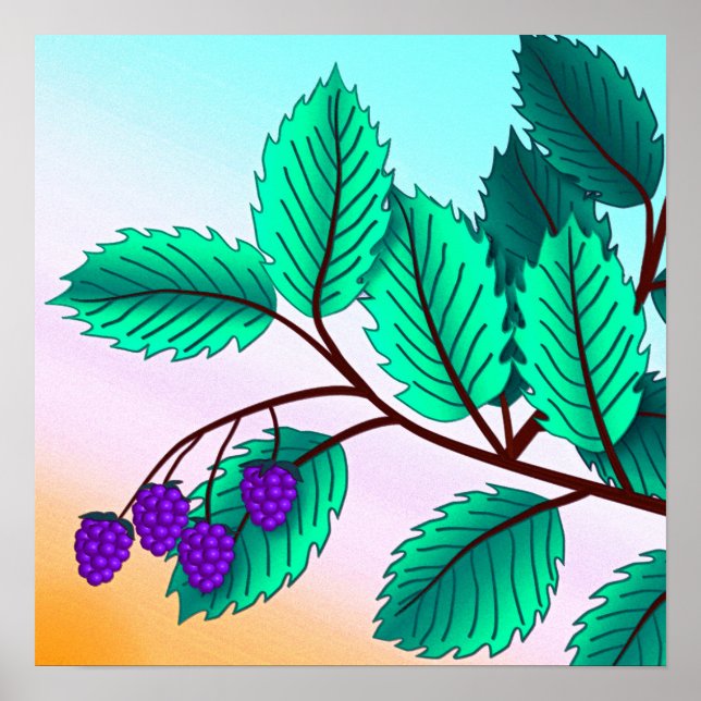 Blackberries on a branch poster (Front)