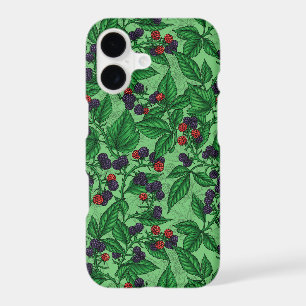 Blackberries on green
