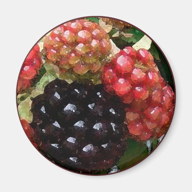 Blackberries Watercolor - Magnet (Front)