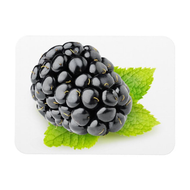 Blackberry and mint magnet (Horizontal)