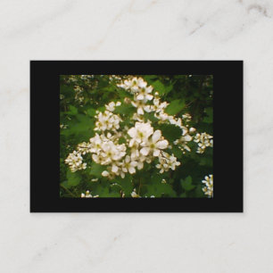 Blackberry Blossom Business Card