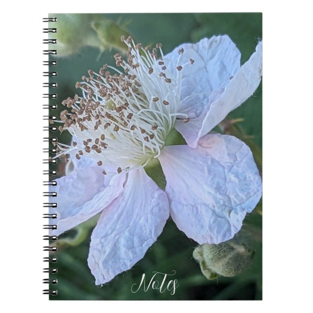 Blackberry Blossom Macro Photo Notebook (Front)