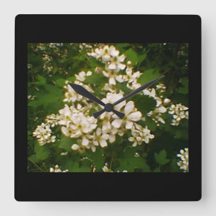 Blackberry Blossom Square Wall Clock
