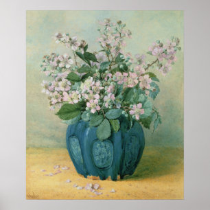 Blackberry Blossoms Poster
