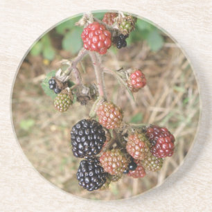 Blackberry Bonanza Coasters