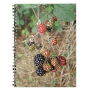 Blackberry Bonanza Notebook