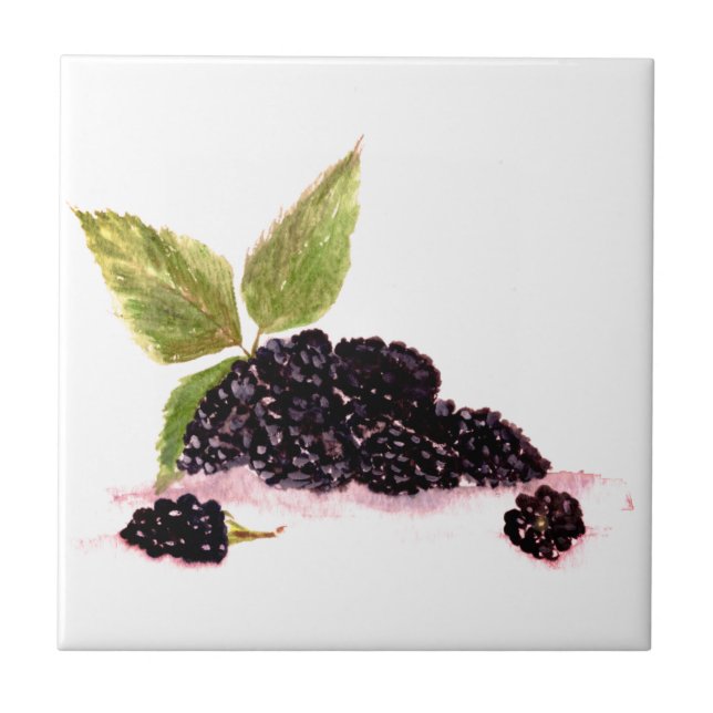 Blackberry Bramble blackberries fruits watercolor  Tile (Front)