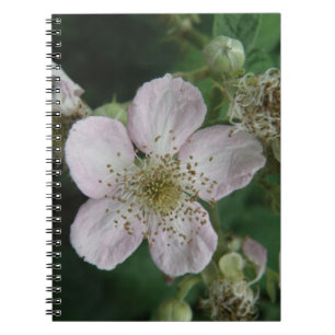 Blackberry Flower Macro Notebook