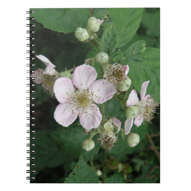Blackberry Flowers Notebook (Front)