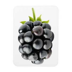 Blackberry Magnet