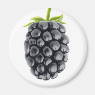 Blackberry Magnet