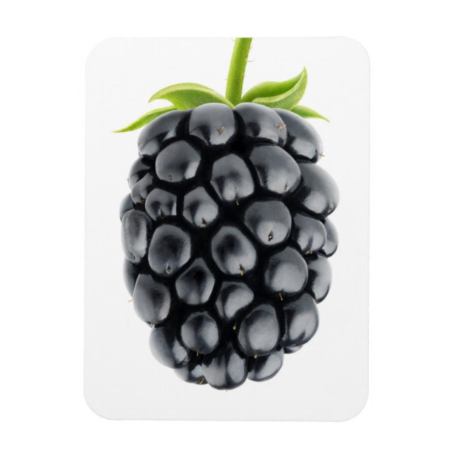 Blackberry Magnet (Vertical)
