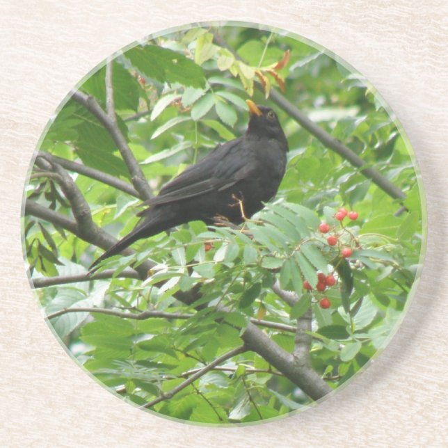 Blackbird and Berries Coasters (Front)