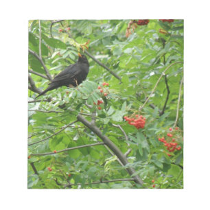 Blackbird and Berries Notepad
