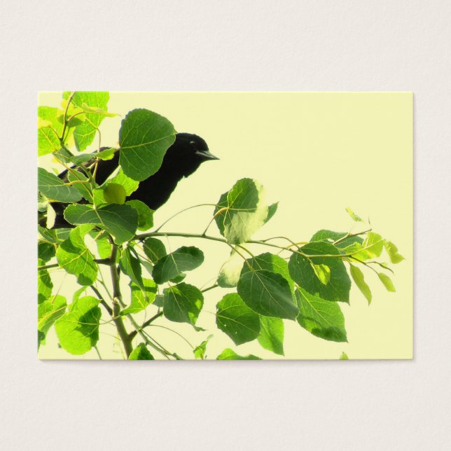 Blackbird ATC (Front)